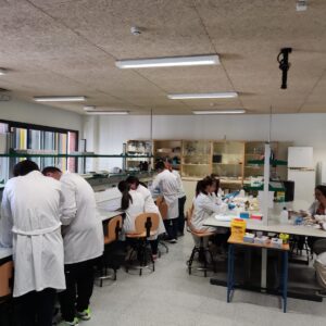 Prácticas del ciclo superior de Laboratorio Clínico y Biomédico en el IES Antonio María Calero