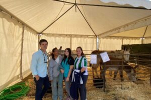 Feria Agroganadera49