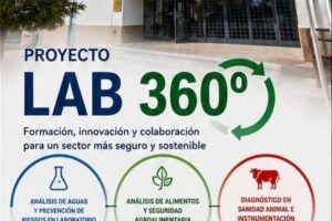 actividades del proyecto LAB 360º.2